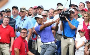 tiger_valhalla14-275194