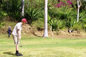 KimBoje_Reunion_13_GolfduBassinBleu_Gedehyrde-geder