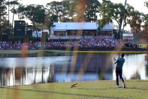 sawgrass15-288403