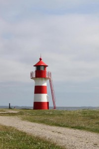 oddesund_og_grisetaa