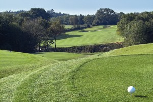 Skjoldenæsholm-Hul-1